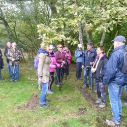 Groupe de marcheurs faisant une pause dans les bois.