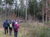 Des marcheurs de dos dans une forêt de conifères