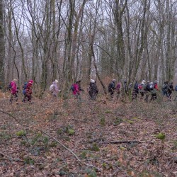 Une ligne de marcheurs de profil dans une forêt de feuillus