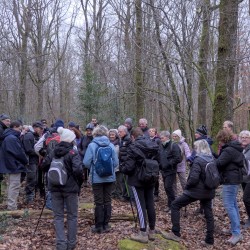 Un groupe de marcheurs regroupés en train d&#039;écouter le guide, dans une forêt de feuillus.