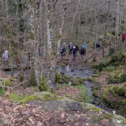Vue surplombante de marcheurs traversant un passage piéton en bois au-dessus d&#039;un ruisseau. Au 1er plan des pierres plates recouvertes de mousse et de feuilles mortes.