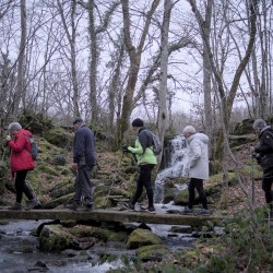 Vue en contre-plongée de marcheurs traversant un passage piéton en bois au-dessus d&#039;un ruisseau. À l&#039;arrière plan une cascade bien alimentée.