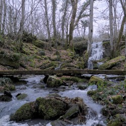 Dans un bois, un passage piéton en bois au-dessus d&#039;un ruisseau. À l&#039;arrière plan une cascade, et tout autour des arbres.