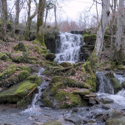 Dans un bois, une cascade, vue de dessous, avec différents niveaux d&#039;eau, et tout autour des arbres.