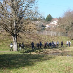 Randonneurs passant derrière un arbre le long d&#039;un étang