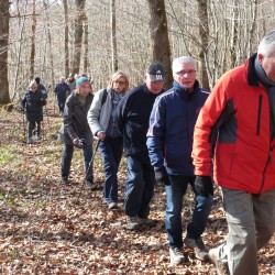 Randonneurs dans les sous-bois au soleil