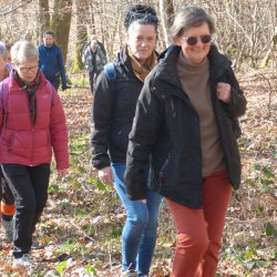 Randonneurs dans les sous-bois au soleil