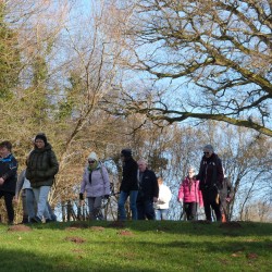 Randonneurs passant à l&#039;ombre d&#039;un arbre