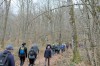 Une colonne de marcheurs de dos dans une forêt de feuillus en hiver.