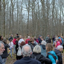 Marcheurs en pause sur le parcours lors de la rando du 9 mars, dans une forêt de feuillus.