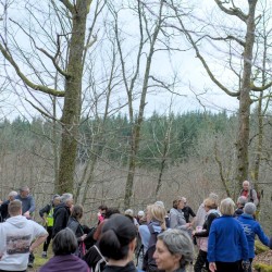 Marcheurs en pause sur le parcours lors de la rando du 9 mars, dans une forêt de feuillus.