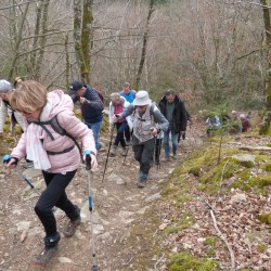 Une colonne de marcheurs de face, grimpant un chemin en dénivelé dans une forêt de feuillus en hiver, vue de haut.
