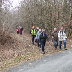 Une colonne de marcheurs de face, sortant d&#039;un chemin sur une route dans une forêt de feuillus en hiver.