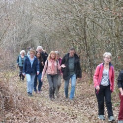 Une colonne de marcheurs de face sur un chemin dans une forêt de feuillus en hiver.