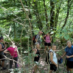 Randonneurs en pause dans un endroit ombragé en forêt