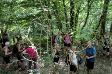 Randonneurs en pause dans un endroit ombragé en forêt