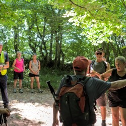 Randonneurs en pause dans un endroit ombragé en forêt