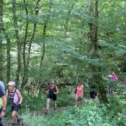 Randonneurs en marche dans la forêt