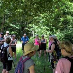 Randonneurs en pause dans un endroit ombragé en forêt