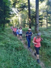 Randonneurs en marche dans un endroit ombragé en forêt