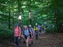 Randonneurs en marche dans un endroit ombragé en forêt