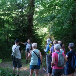 Randonneurs en pause dans un endroit ombragé en forêt