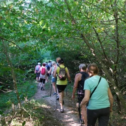 Randonneurs en marche dans un endroit ombragé en forêt