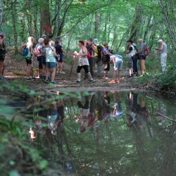 Randonneurs en pause dans un endroit ombragé en forêt, ils se reflètent dans une flaque d&#039;eau.