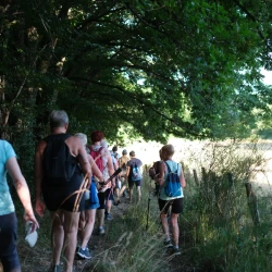 Randonneurs en marche dans un endroit ombragé en lisière de forêt, un pré ensoleillé à droite