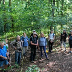 Des randonneurs en pause dans un sous-bois, vus en plongée