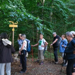 Des randonneurs en pause dans les sous-bois, devant un panneau indiquant les chemins.