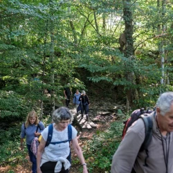 Des randonneurs en train de monter sur un chemin, certains sont devant et flous, d'autres à l'arrière et en contrebas, nets.