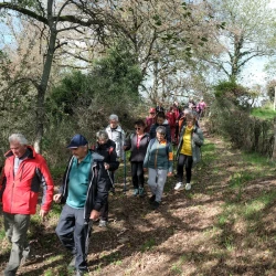 Des randonneurs descendent un chemin bordé de haies et d&#039;arbres