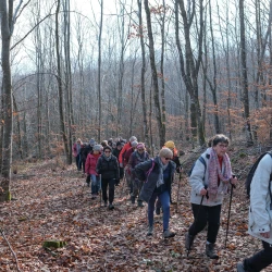 Marcheurs en file indienne dans les bois