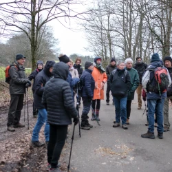 Groupe de marcheurs arrêtés sur une route, des arbres en décor, le temps est gris et humide