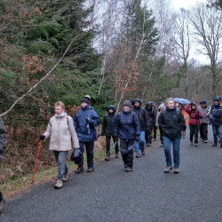 Groupe de marcheurs sur une route, des arbres en décor, le temps est gris et humide