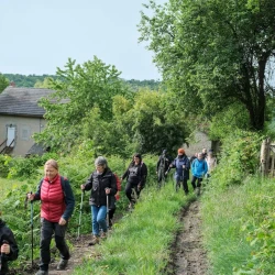Marcheurs sur un chemin le long d'un pré, un arbre à droite, une maison au fond sous un ciel lumineux.