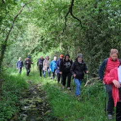 Des marcheurs sur un chemin entre des arbres, le long d'un ruisseau