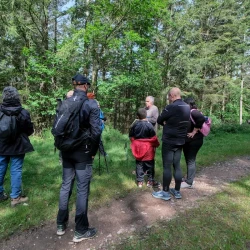 Des marcheurs à l'arrêt sur un chemin large au milieu d'une forêt à dominante résineux.