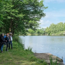 Un étang sur la droite, avec une île pleine d'arbres, et sur la gauche un groupe de marcheurs sur un chemin à l'abri d'arbres le long d'une digue.