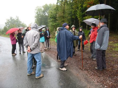 Le groupe de marcheur à l'orée du bois près de Borne Creuse