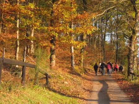 Bas de Chêne 13/11/2011