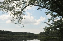 Etang_de_la_Fallourde.jpg