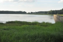 Etang_de_la_Noue.jpg