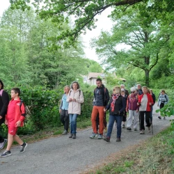 Marcheurs sur une petite route entourée de verdure (arbres, haies), au loin une maison.