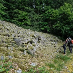 Un amoncellement de pierres recouvertes partiellement par la mousse, des personnes sur un chemin au loin, des arbres en arrière plan.