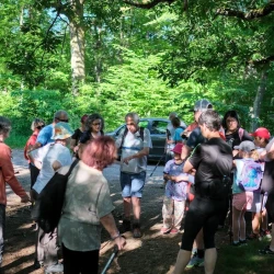 Des personnes regroupées sur un terrain sous des arbres, du soleil, et 2 voitures en arrière plan.