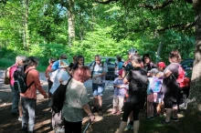 Des personnes regroupées sur un terrain sous des arbres, du soleil, et 2 voitures en arrière plan.