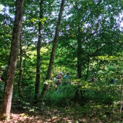 Des personnes marchent sur un sentier, et sont vues sur le côté, derrière des arbres, sous le soleil.