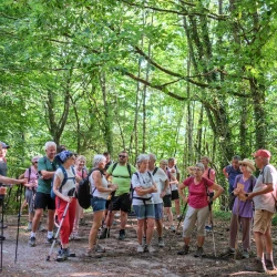 Des marcheurs en pause sur un chemin dans les bois à l'ombre du soleil.